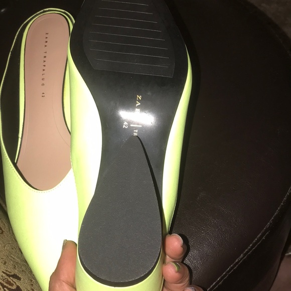 Zara - Picture 6 of 6